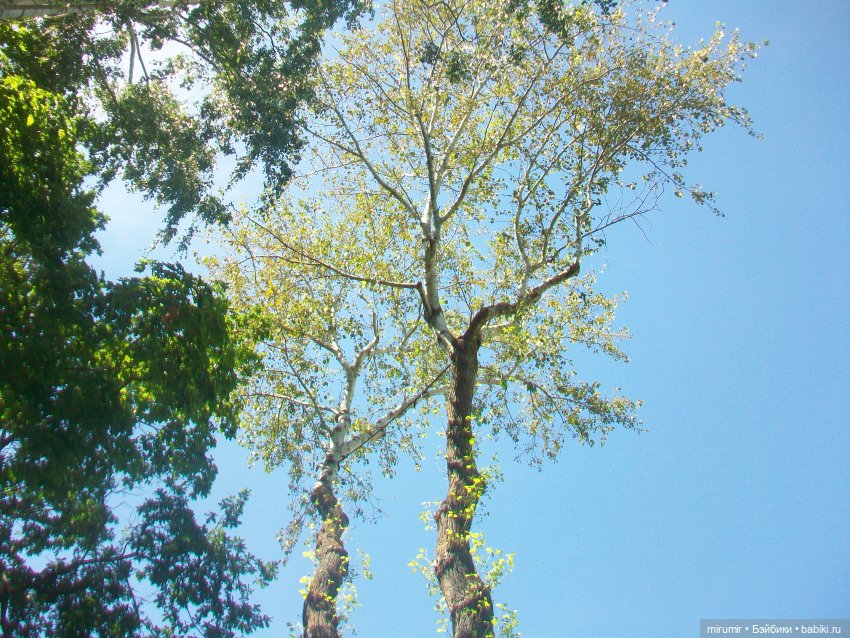 Константиново - 2024 — Туризм и путешествия: фотоотчеты из поездок