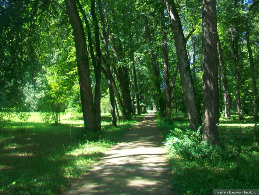 Спасское-Лутовиново - 2024