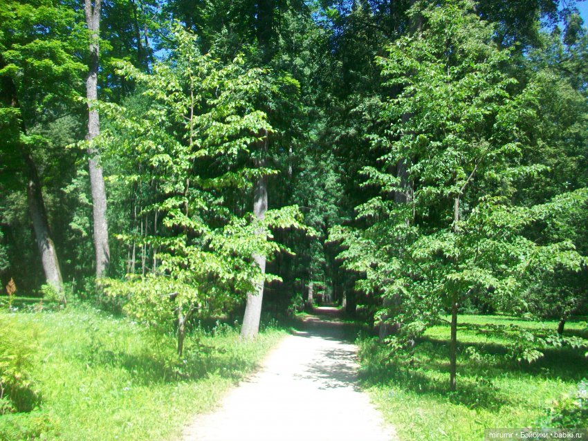 Спасское-Лутовиново - 2024