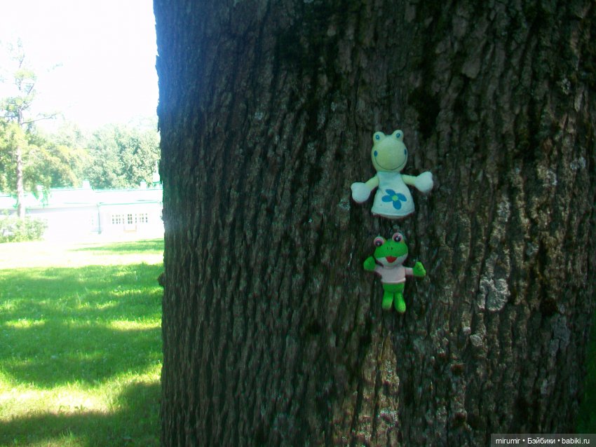 Спасское-Лутовиново - 2024 (фото 9)