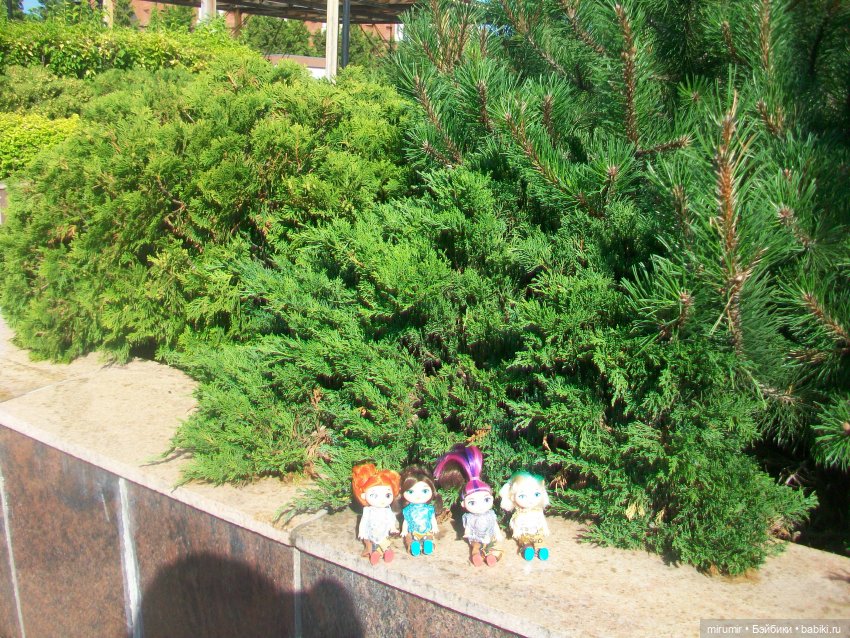 Тула - 2024 — Туризм и путешествия: фотоотчеты из поездок (фото 4)