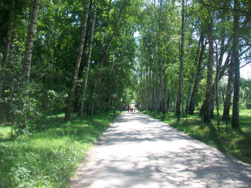 Ясная поляна - 2024 — Туризм и путешествия: фотоотчеты из поездок