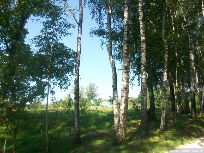 Ясная поляна - 2024 — Туризм и путешествия: фотоотчеты из поездок (фото 3)