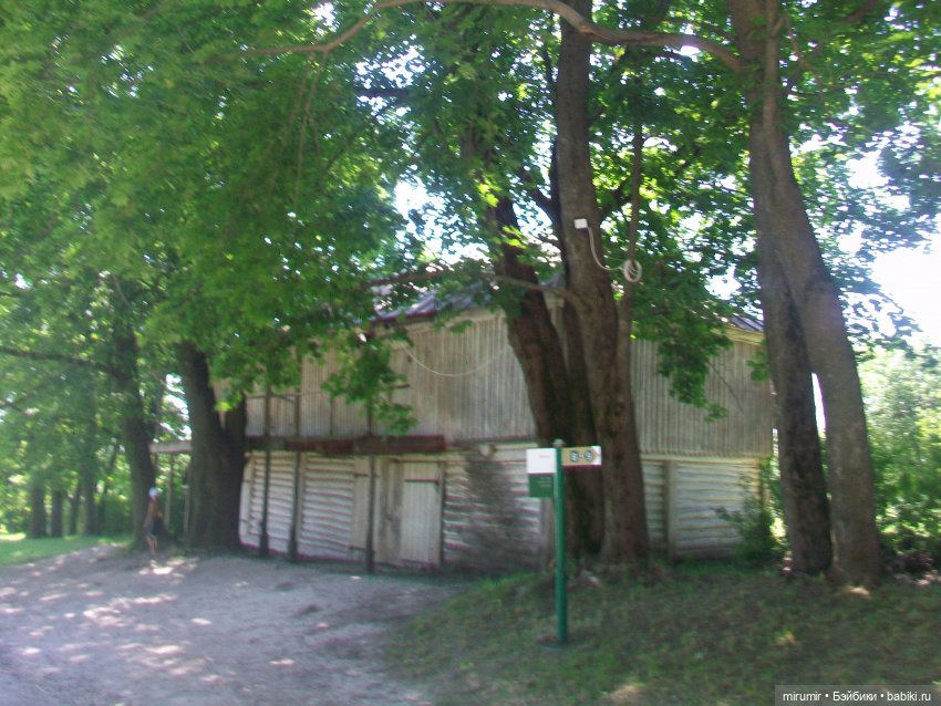 Ясная поляна - 2024 — Туризм и путешествия: фотоотчеты из поездок