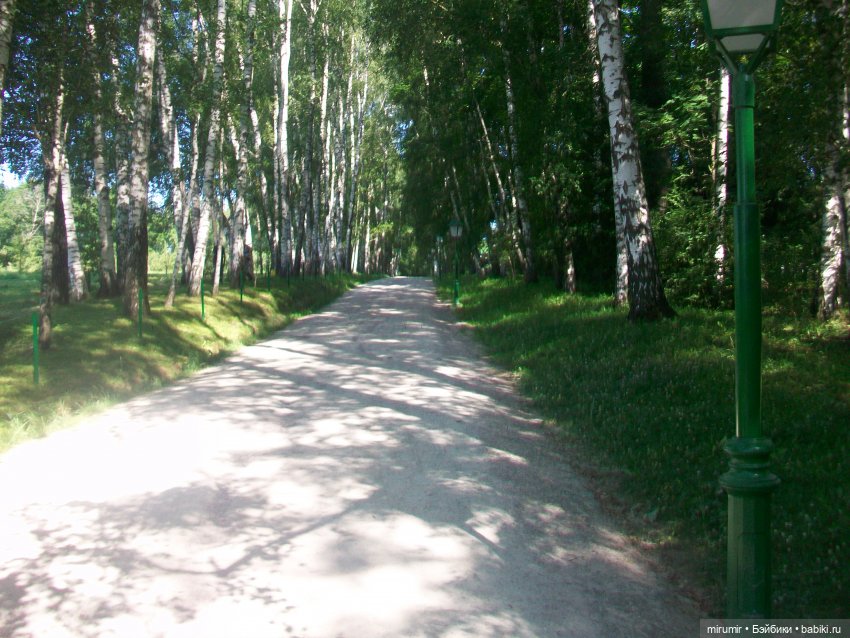 Ясная поляна - 2024 — Туризм и путешествия: фотоотчеты из поездок (фото 2)