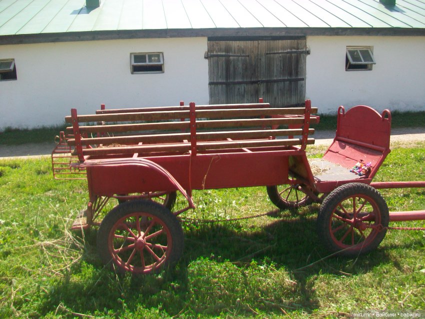 Ясная поляна - 2024 — Туризм и путешествия: фотоотчеты из поездок