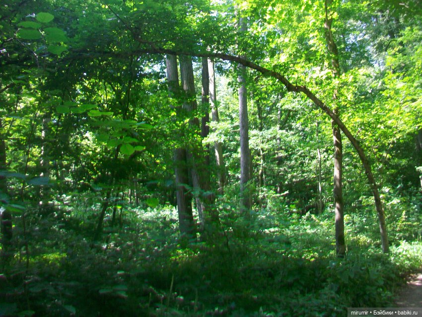 Ясная поляна - 2024 — Туризм и путешествия: фотоотчеты из поездок