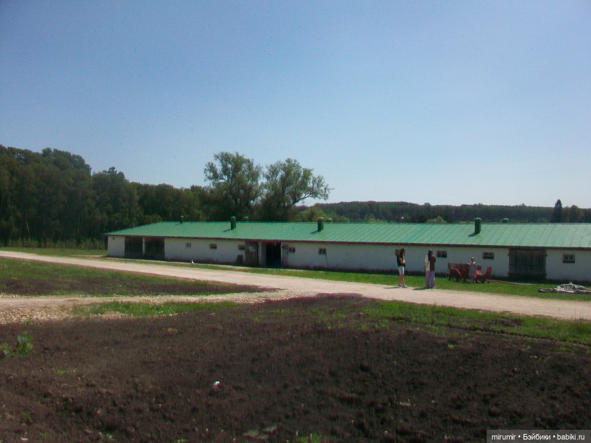 Ясная поляна - 2024 — Туризм и путешествия: фотоотчеты из поездок