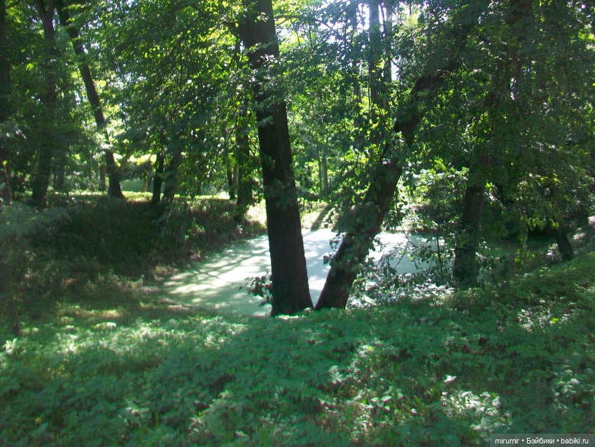 Ясная поляна - 2024 — Туризм и путешествия: фотоотчеты из поездок (фото 5)