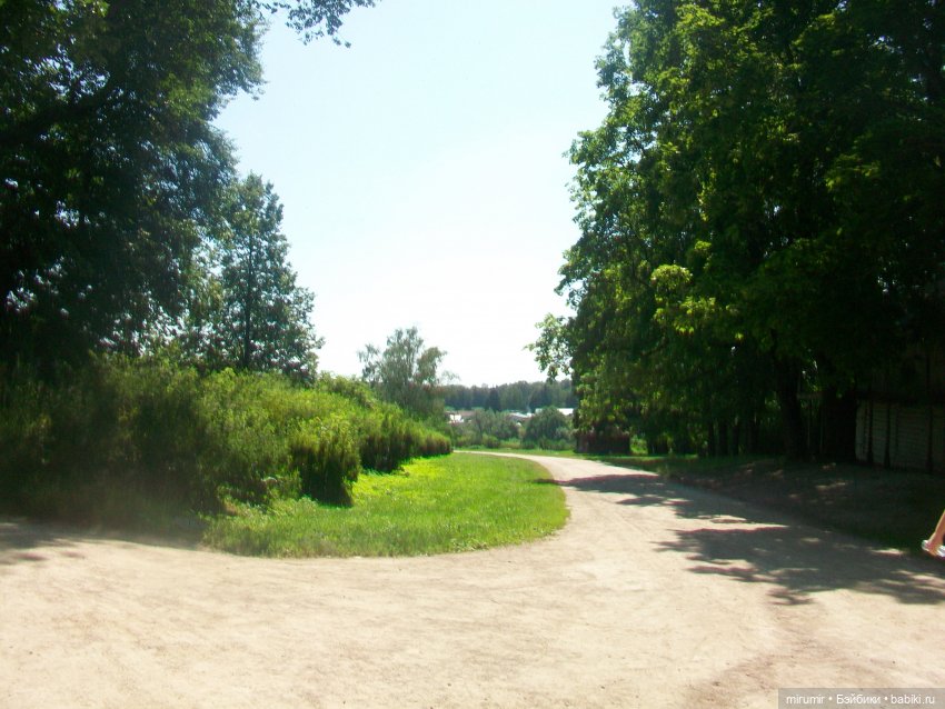 Ясная поляна - 2024 — Туризм и путешествия: фотоотчеты из поездок