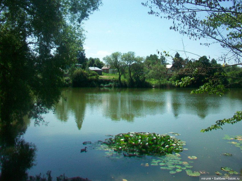 Ясная поляна - 2024 — Туризм и путешествия: фотоотчеты из поездок