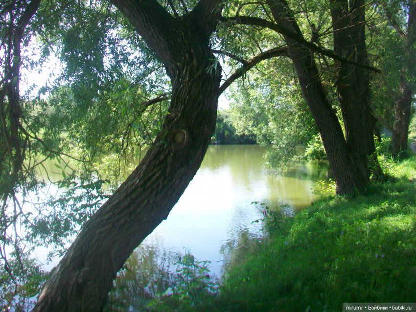 Ясная поляна - 2024 — Туризм и путешествия: фотоотчеты из поездок