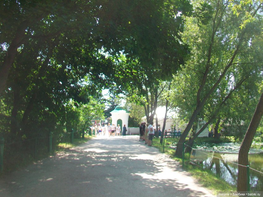 Ясная поляна - 2024 — Туризм и путешествия: фотоотчеты из поездок