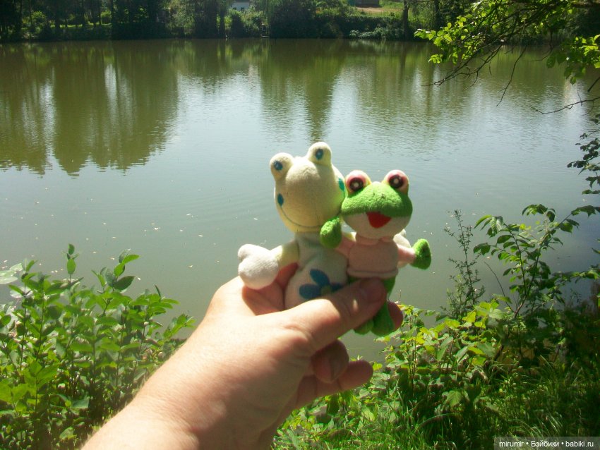 Ясная поляна - 2024 — Туризм и путешествия: фотоотчеты из поездок