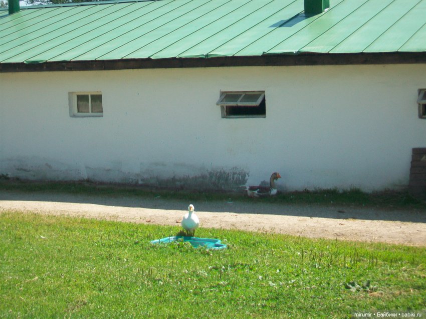 Ясная поляна - 2024 — Туризм и путешествия: фотоотчеты из поездок