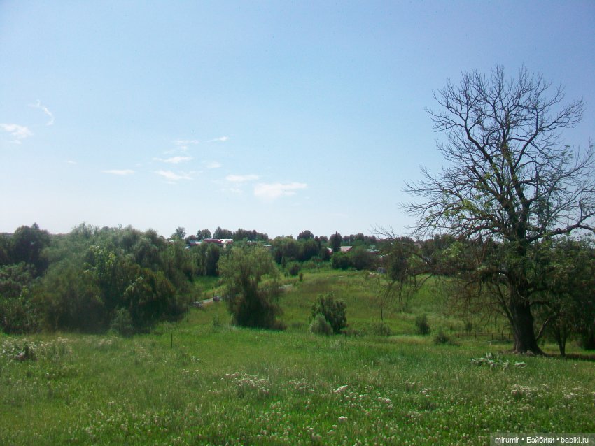 Ясная поляна - 2024 — Туризм и путешествия: фотоотчеты из поездок