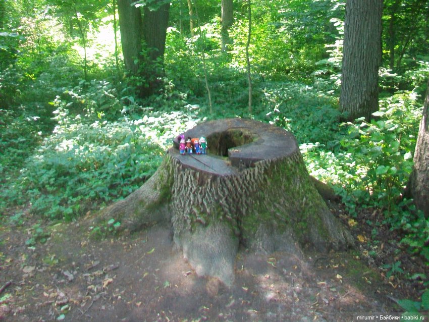 Ясная поляна - 2024 — Туризм и путешествия: фотоотчеты из поездок