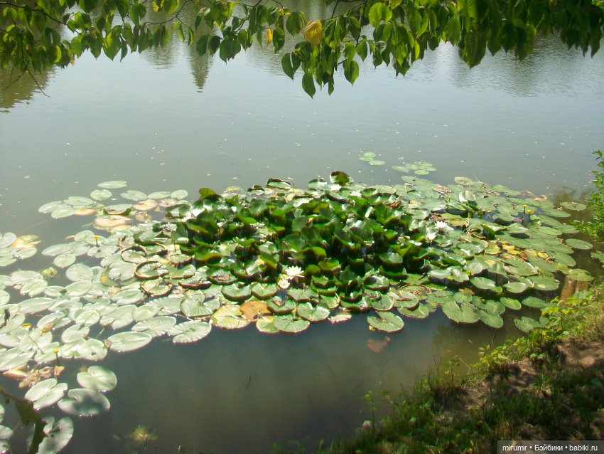 Ясная поляна - 2024 — Туризм и путешествия: фотоотчеты из поездок