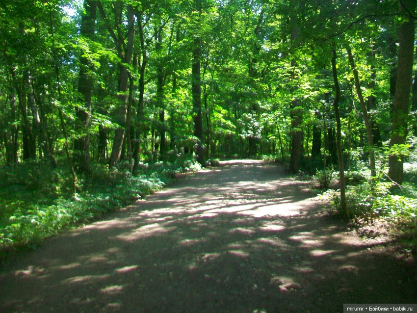 Ясная поляна - 2024 — Туризм и путешествия: фотоотчеты из поездок