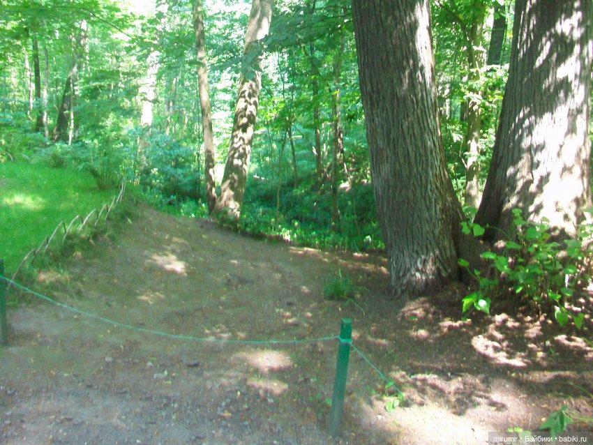 Ясная поляна - 2024 — Туризм и путешествия: фотоотчеты из поездок