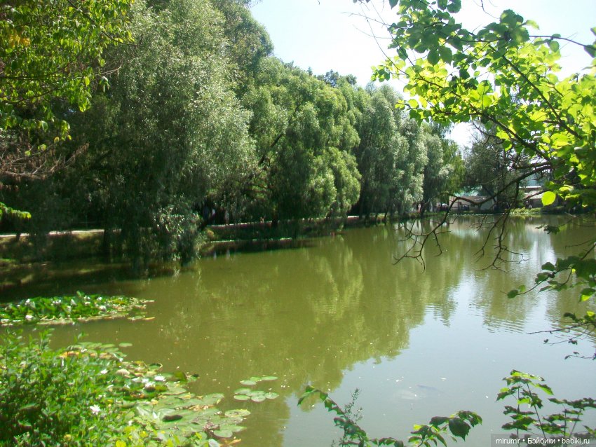 Ясная поляна - 2024 — Туризм и путешествия: фотоотчеты из поездок