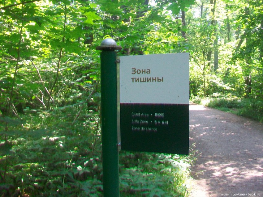 Ясная поляна - 2024 — Туризм и путешествия: фотоотчеты из поездок