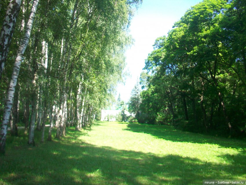 Ясная поляна - 2024 — Туризм и путешествия: фотоотчеты из поездок (фото 6)