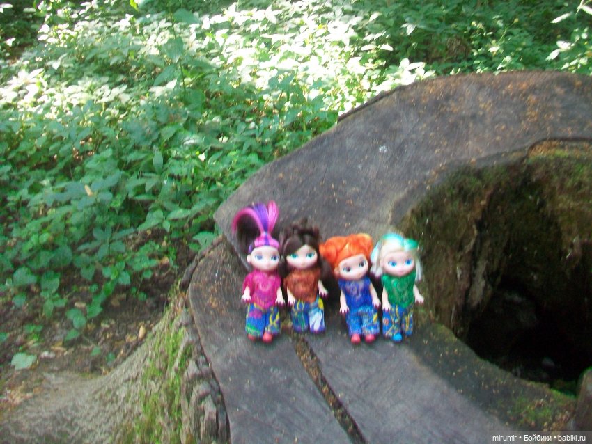 Ясная поляна - 2024 — Туризм и путешествия: фотоотчеты из поездок