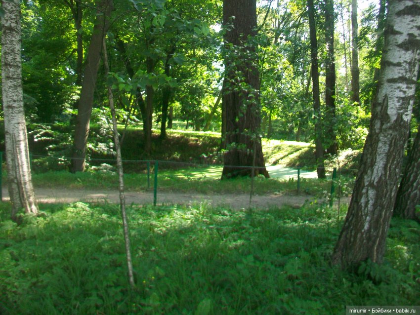 Ясная поляна - 2024 — Туризм и путешествия: фотоотчеты из поездок (фото 4)