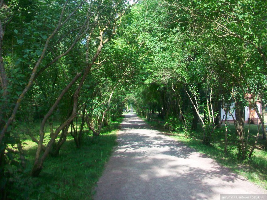 Мелихово - 2024 — Туризм и путешествия: фотоотчеты из поездок