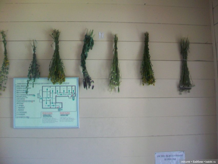 Мелихово - 2024 — Туризм и путешествия: фотоотчеты из поездок