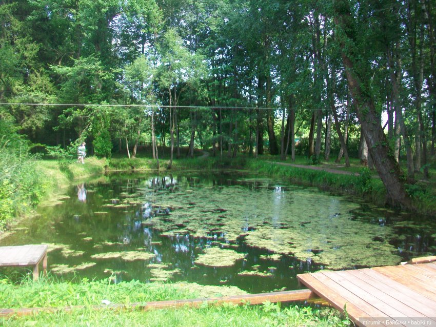 Мелихово - 2024 — Туризм и путешествия: фотоотчеты из поездок (фото 10)