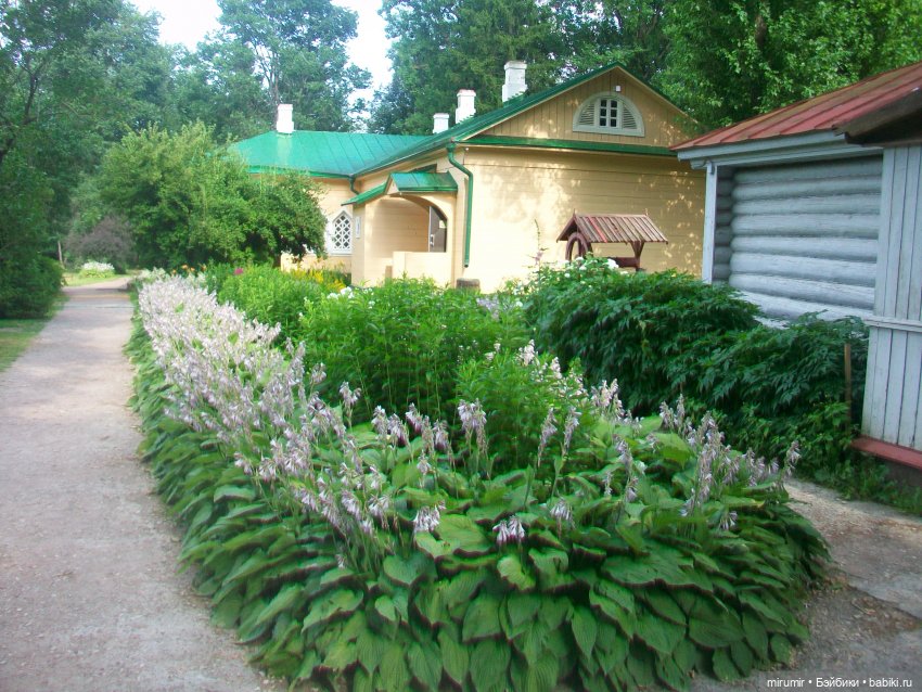 Мелихово - 2024 — Туризм и путешествия: фотоотчеты из поездок