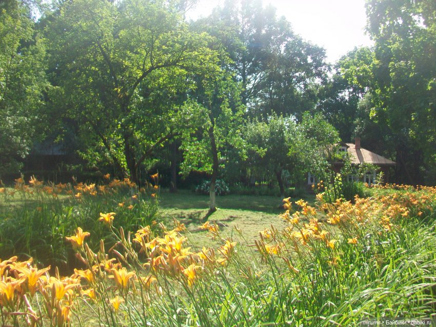 Мелихово - 2024 — Туризм и путешествия: фотоотчеты из поездок