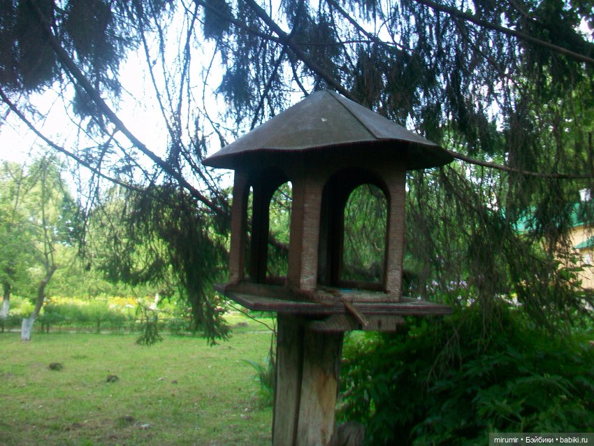 Мелихово - 2024 — Туризм и путешествия: фотоотчеты из поездок