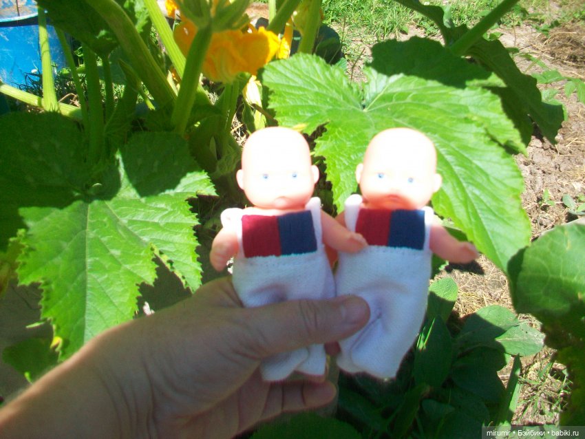 Дача.Июнь - 2024 — Игровые куклы разных производителей (Разное): редкие бренды