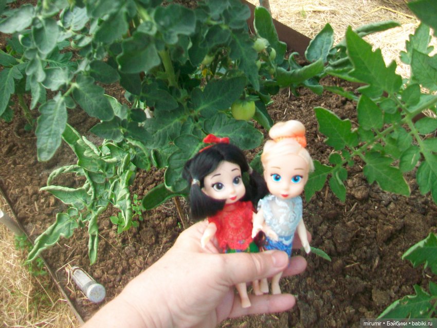 Дача.Июнь - 2024 — Игровые куклы разных производителей (Разное): редкие бренды (фото 4)