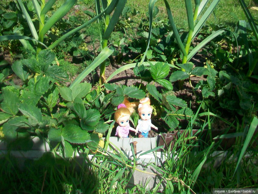 Дача.Июнь - 2024 — Игровые куклы разных производителей (Разное): редкие бренды