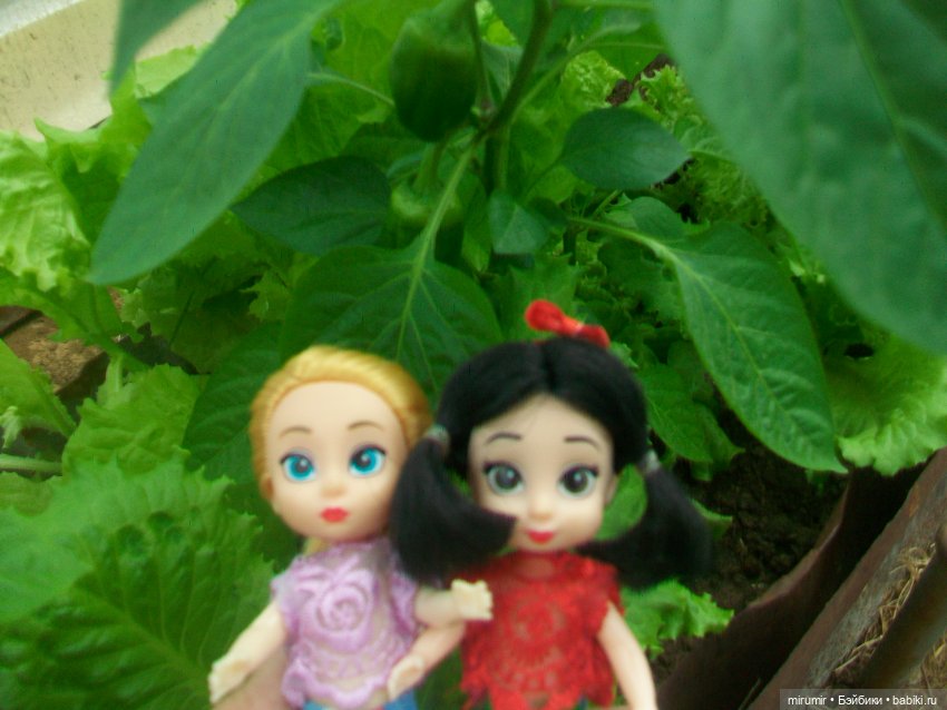 Дача.Июнь - 2024 — Игровые куклы разных производителей (Разное): редкие бренды (фото 5)