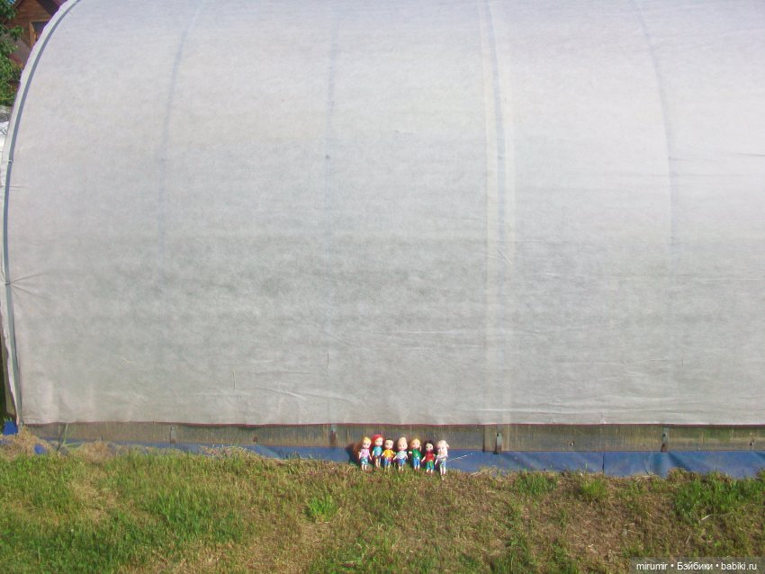 Дача.Июнь - 2024 — Игровые куклы разных производителей (Разное): редкие бренды