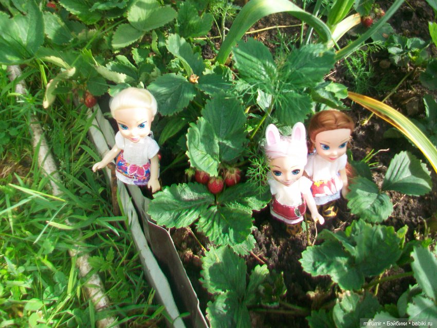 Дача.Июнь - 2024 — Игровые куклы разных производителей (Разное): редкие бренды