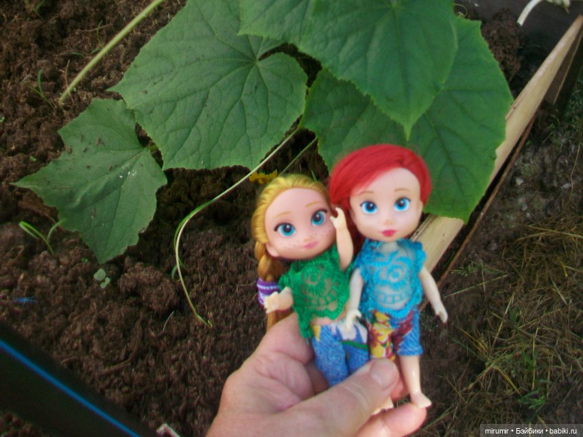 Дача.Июнь - 2024 — Игровые куклы разных производителей (Разное): редкие бренды (фото 3)