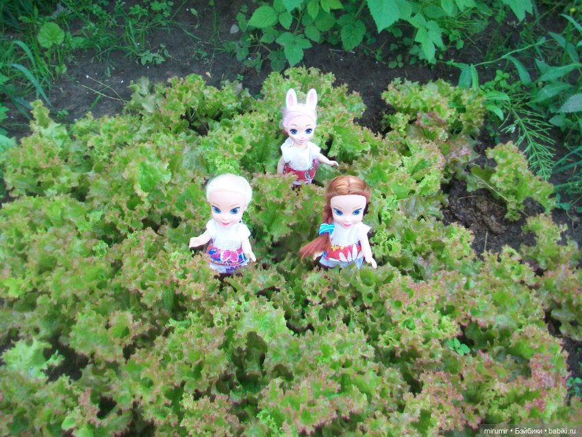 Дача.Июнь - 2024 — Игровые куклы разных производителей (Разное): редкие бренды