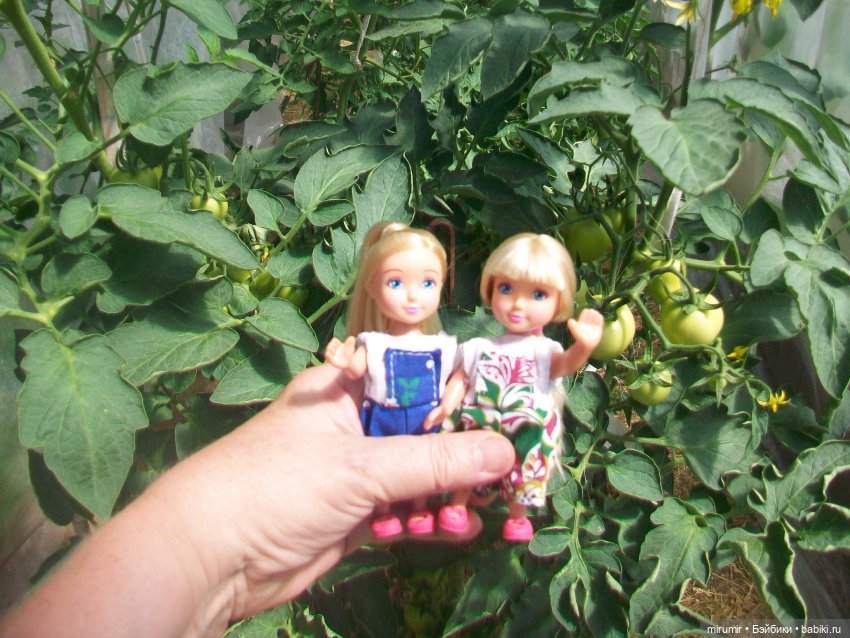 Дача.Июнь - 2024 — Игровые куклы разных производителей (Разное): редкие бренды