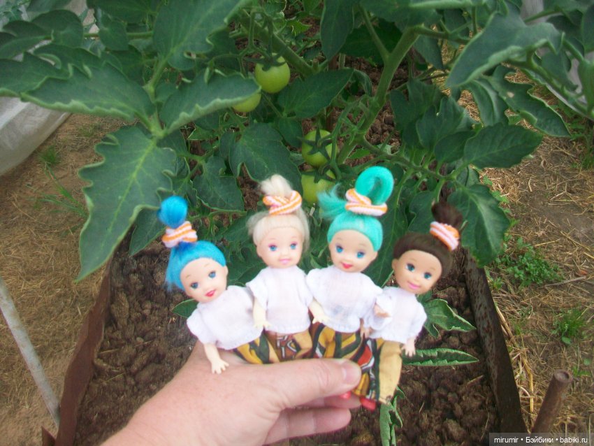 Дача.Июнь - 2024 — Игровые куклы разных производителей (Разное): редкие бренды