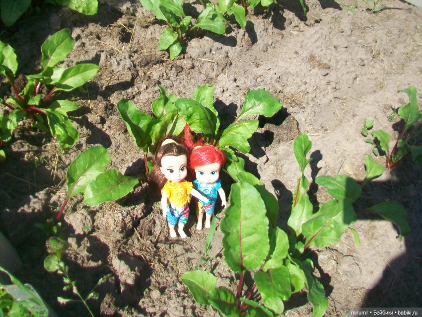 Дача.Июнь - 2024 — Игровые куклы разных производителей (Разное): редкие бренды (фото 7)