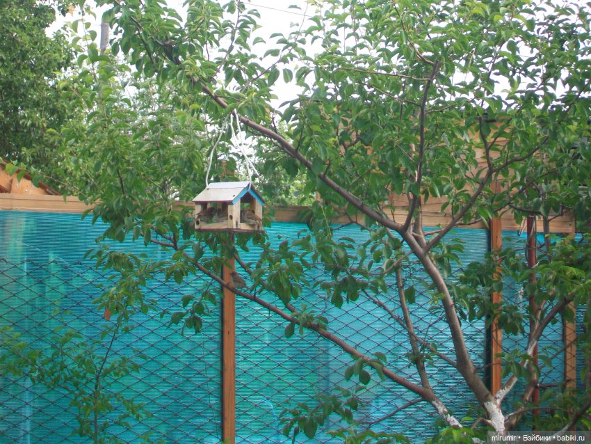 Дача.Июнь - 2024 — Игровые куклы разных производителей (Разное): редкие бренды