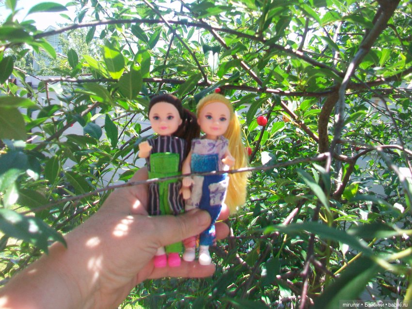 Дача.Июнь - 2024 — Игровые куклы разных производителей (Разное): редкие бренды