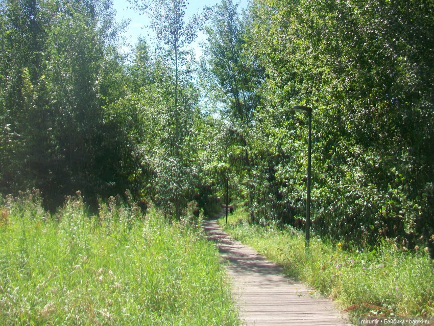 Наш парк летом — Игровые куклы разных производителей (Разное): редкие бренды