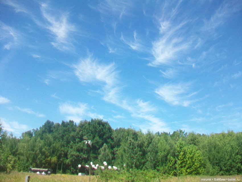 Наш парк летом — Игровые куклы разных производителей (Разное): редкие бренды (фото 6)